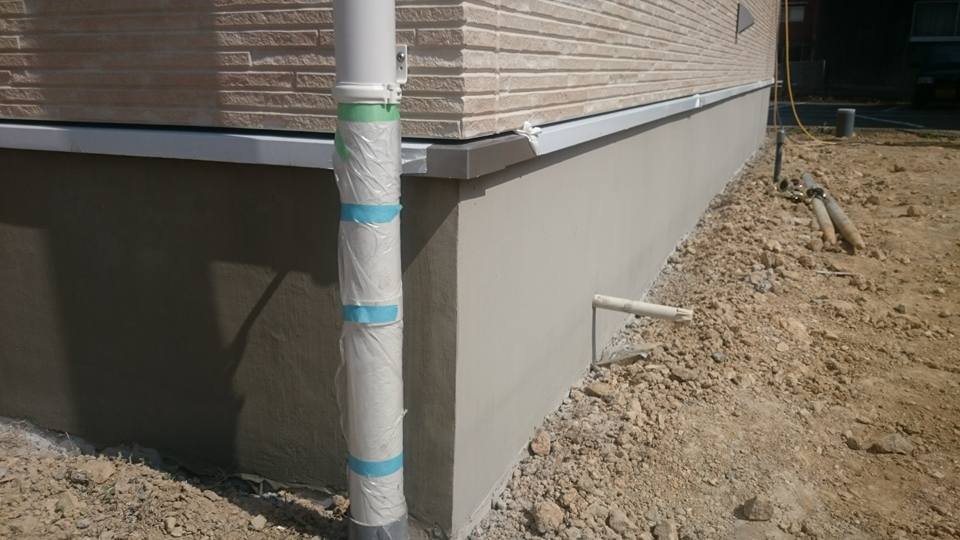 10985309_593641857460185_3379214437378014263_n