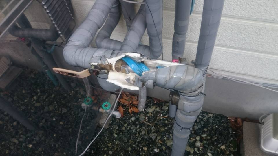 12642792_574864169337954_232416929806912469_n