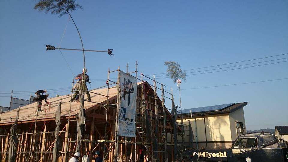 17861798_793555024135533_5088040846654797224_n