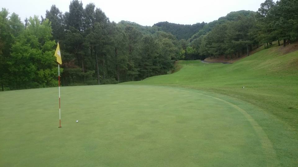 18423846_807045352786500_8542992267155539164_n