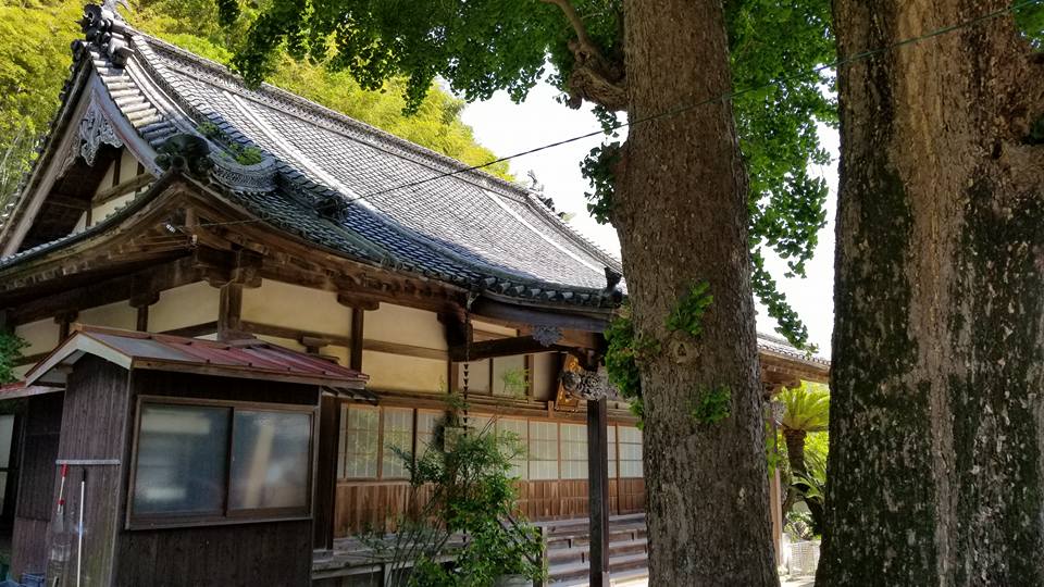 31822512_988343051323395_7194978395929706496_n